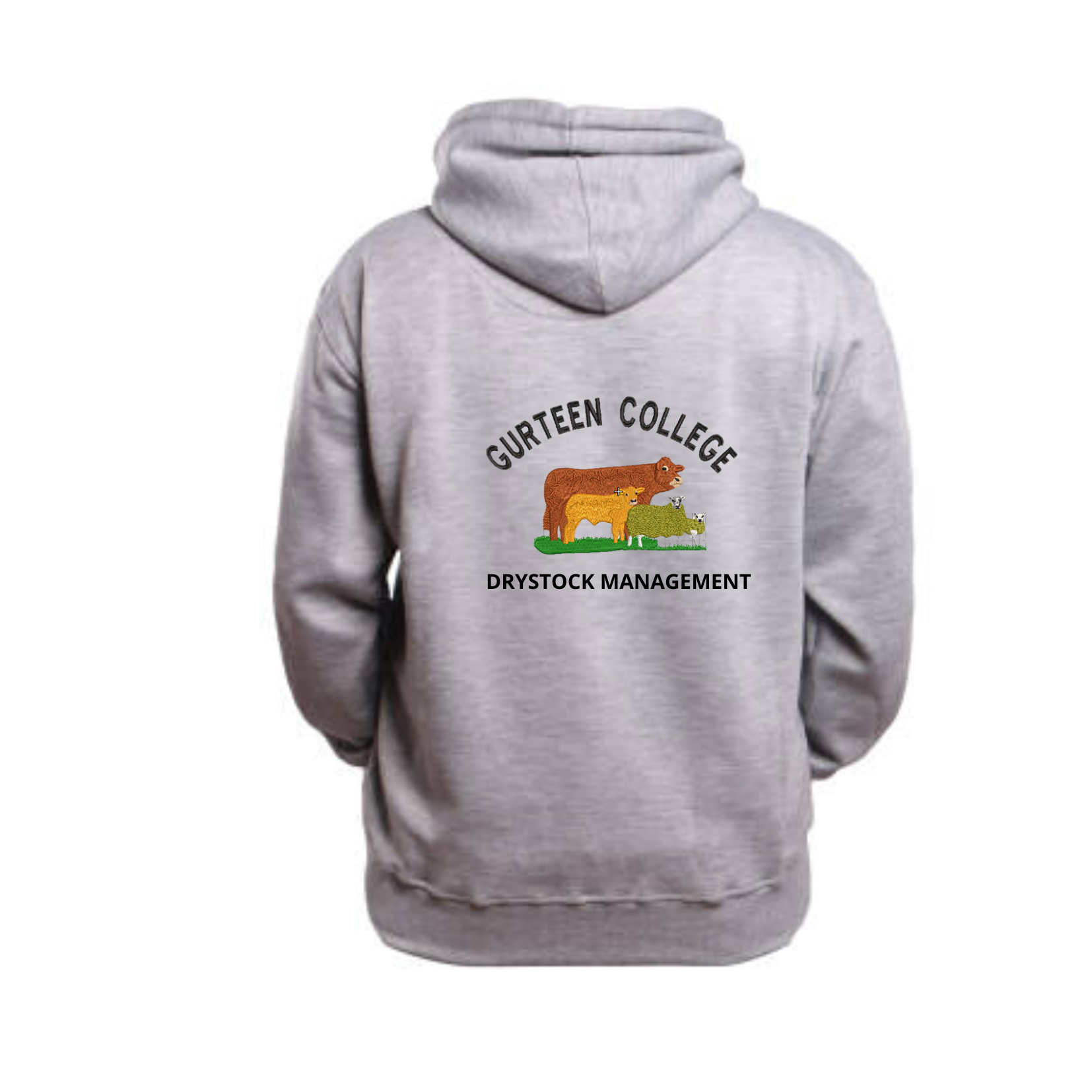 Gurteen_College_Hoody_Grey_Drystock