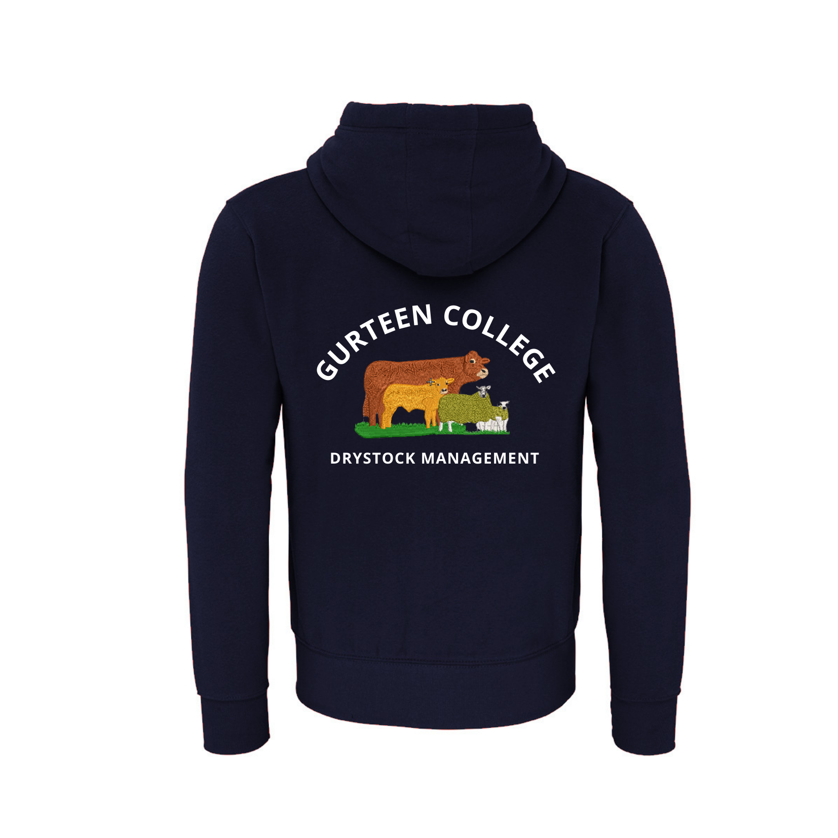 Gurteen_College_Hoody_Navy_Drystock