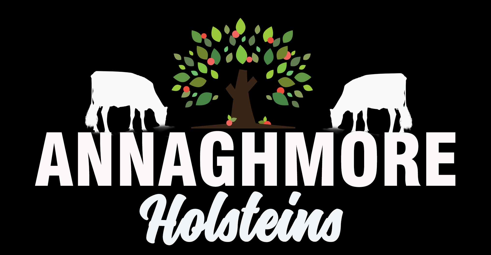 products-annaghmore_holsteins_logo