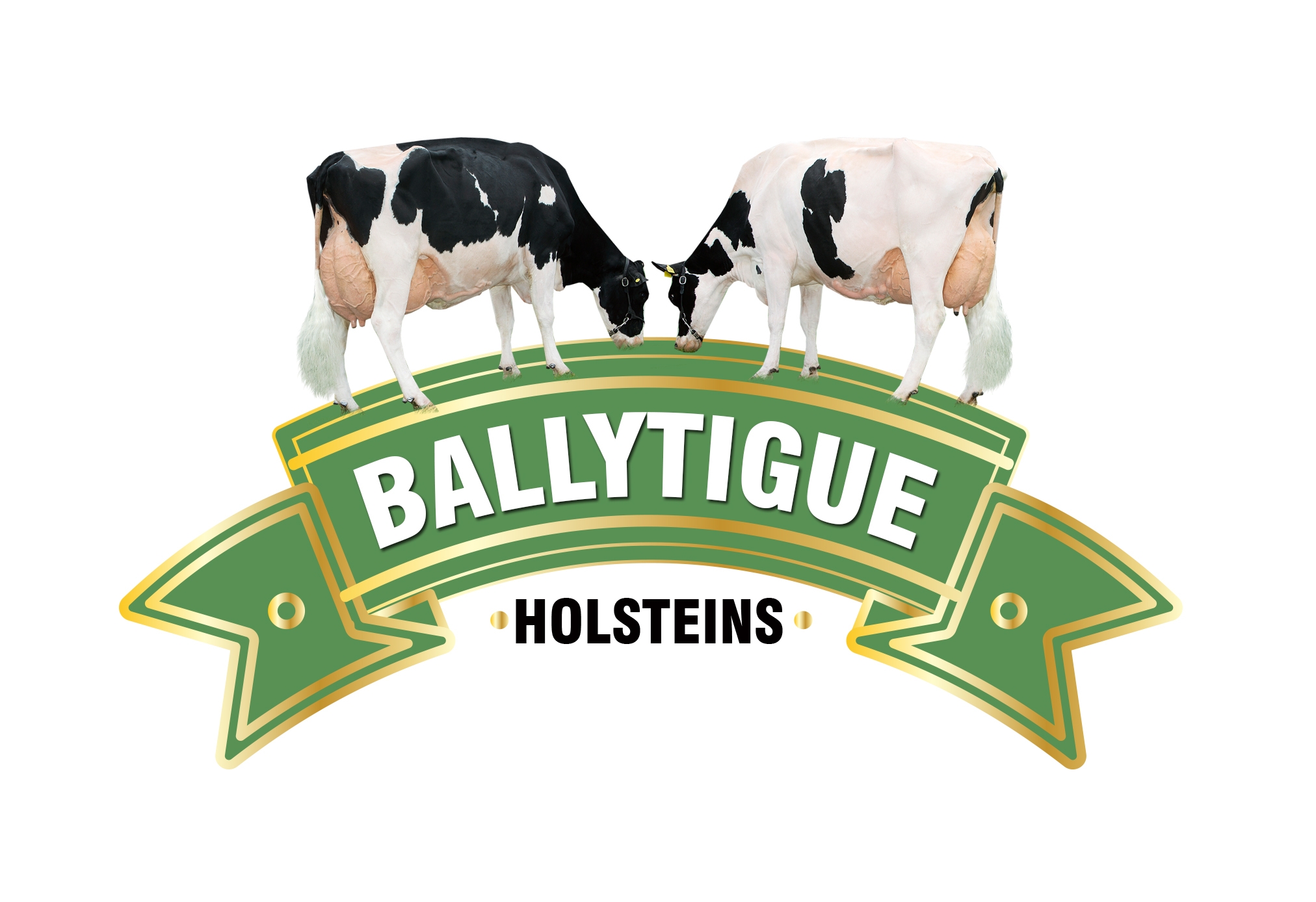 products-ballytigue_holsteins_logo_2019_final_hr