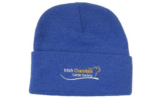 products-iccs_beanie_4243_royal_1_1