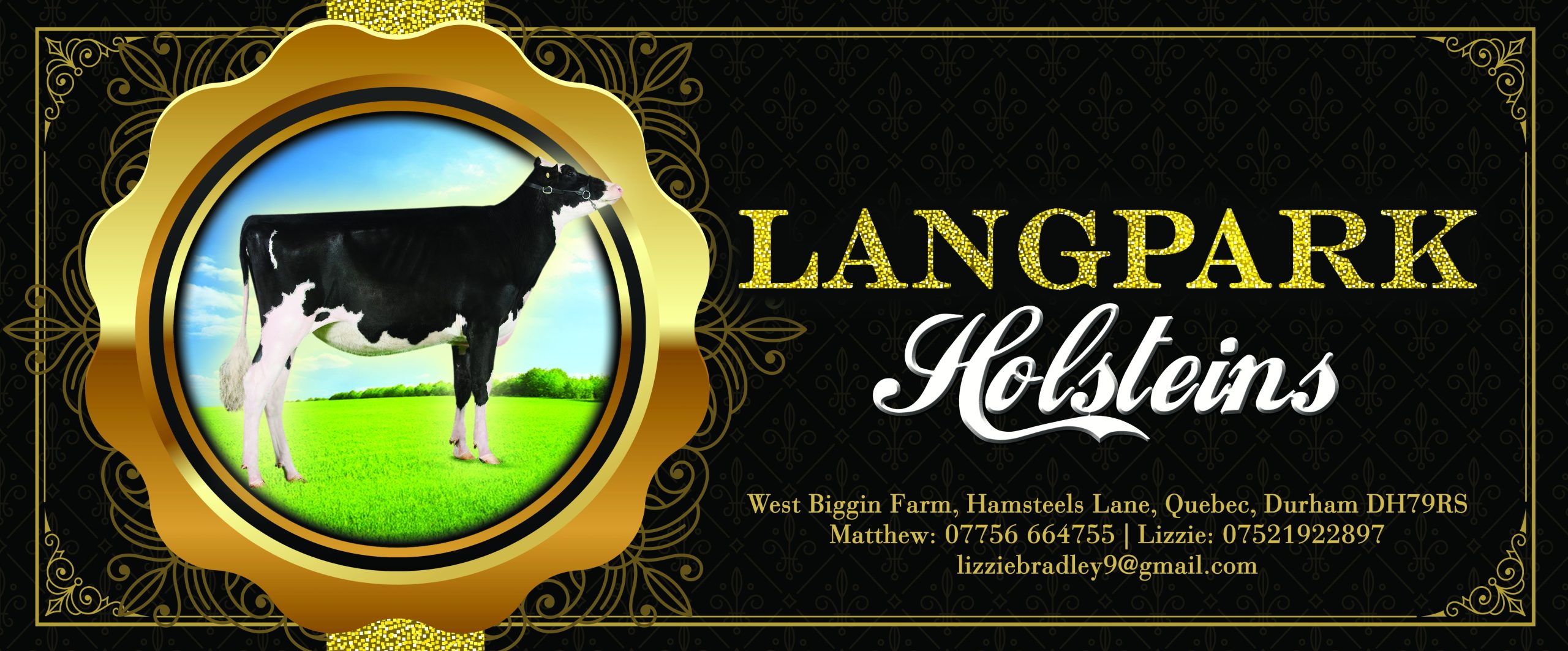 products-langpark_holsteins_banner_5x2-scaled