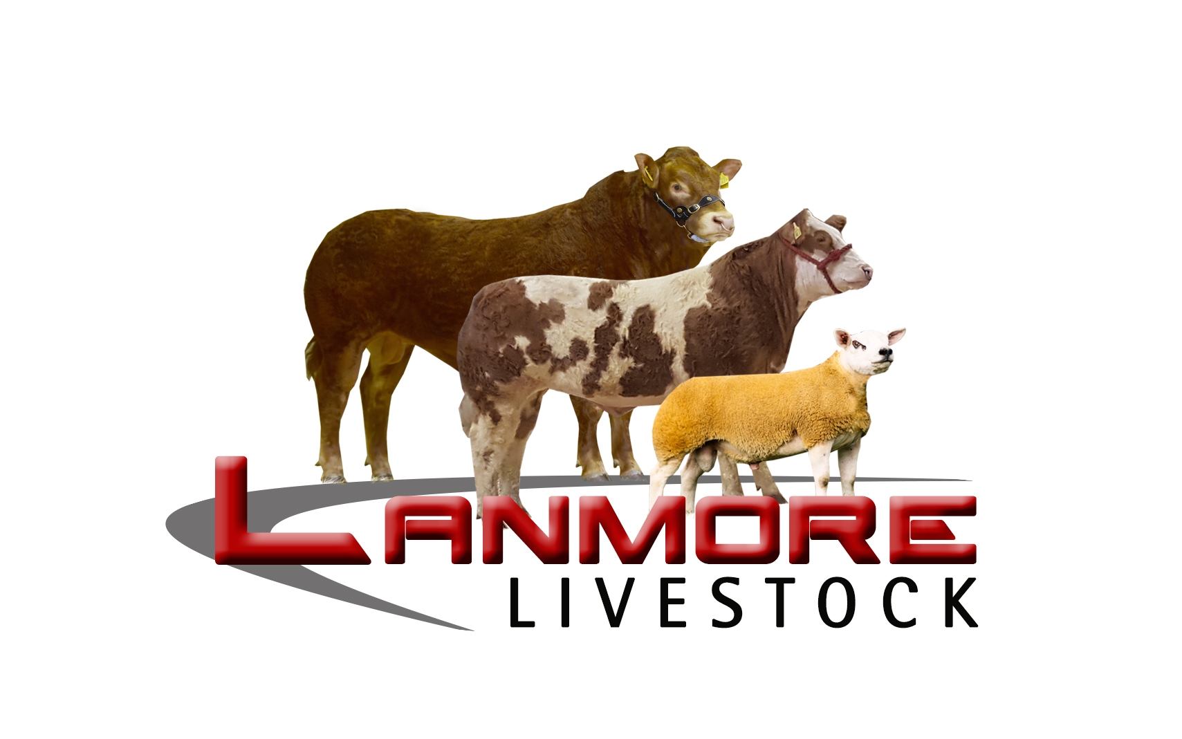products-lanmore_livestock_2019_final