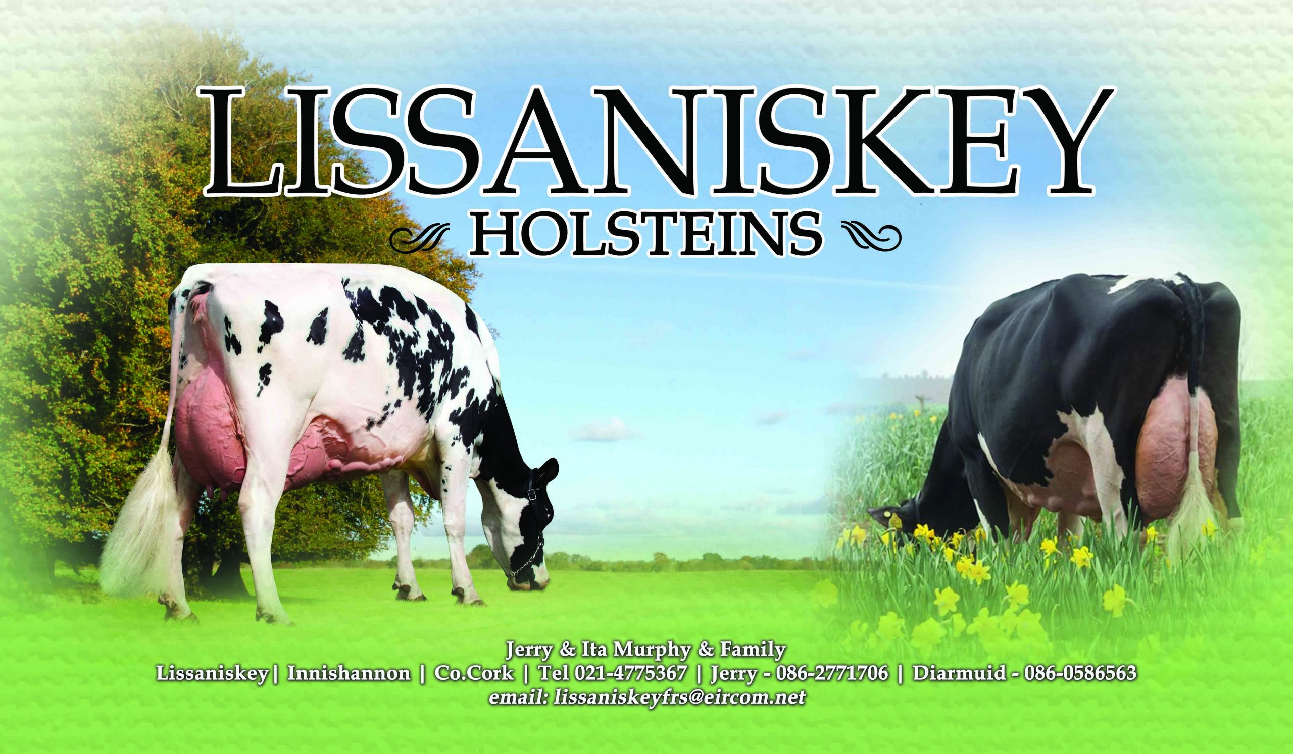 products-lissaniskey_banner_6ft_x_3_lr