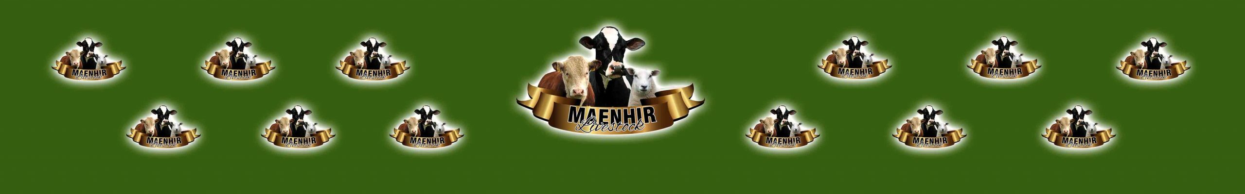 products-maenhir_livestock_16ftx2_lr