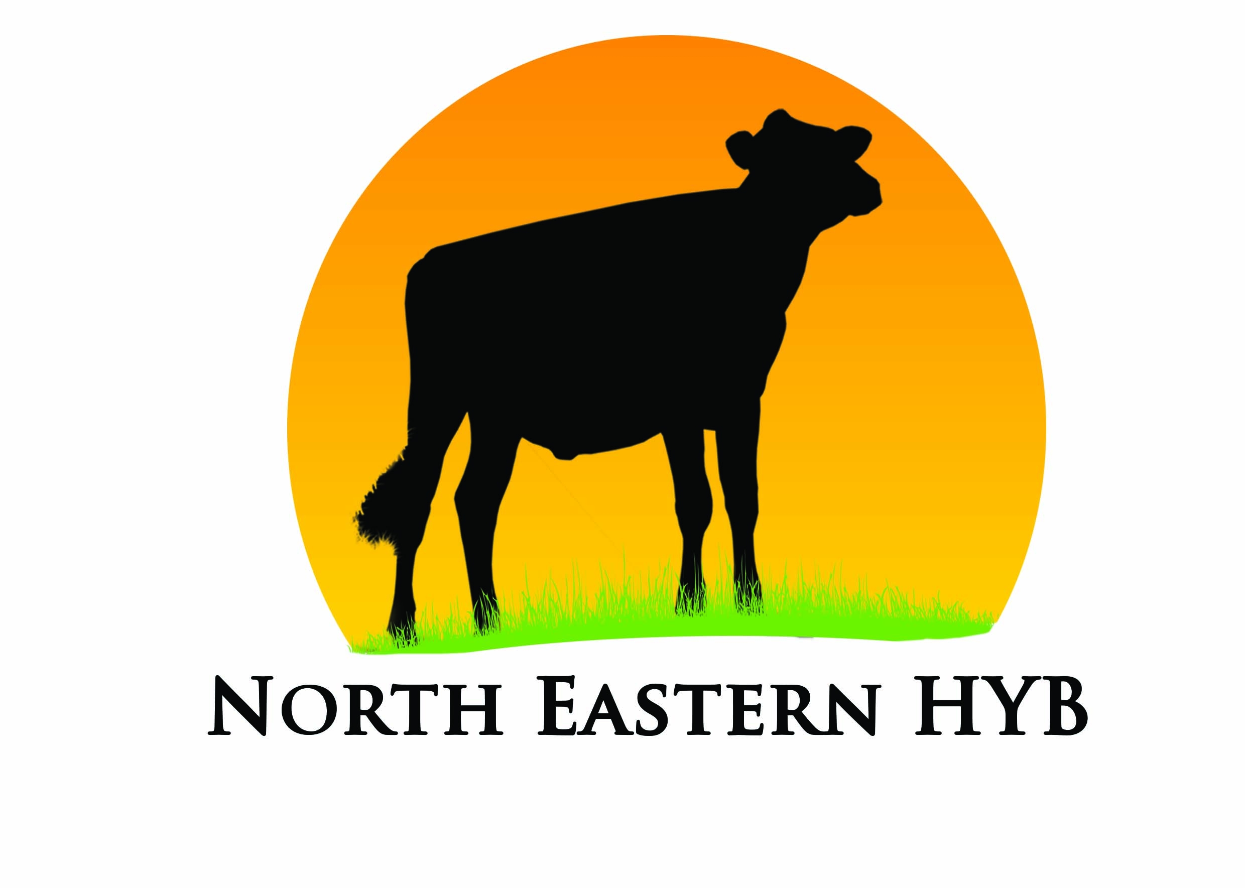 products-north_eastern_hyb_logo