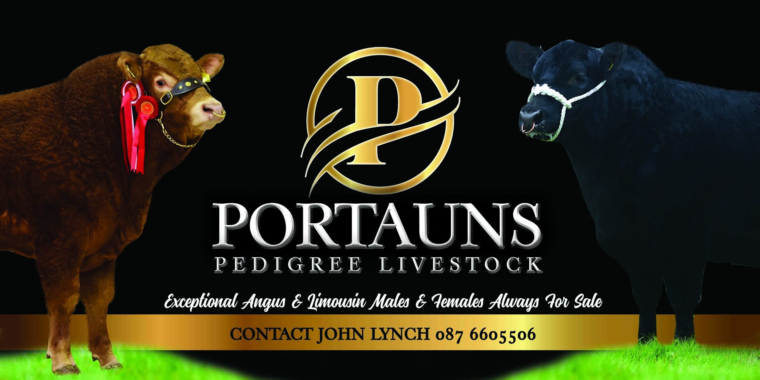 products-portauns_pedigree_livestock_lr-scaled