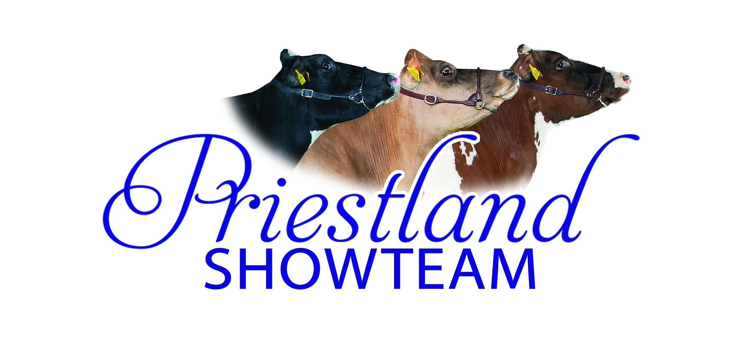 products-priestland_showteam_logo