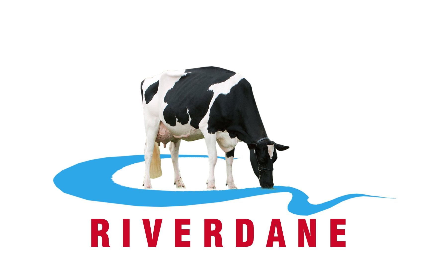 products-riverdane_logo_final_final