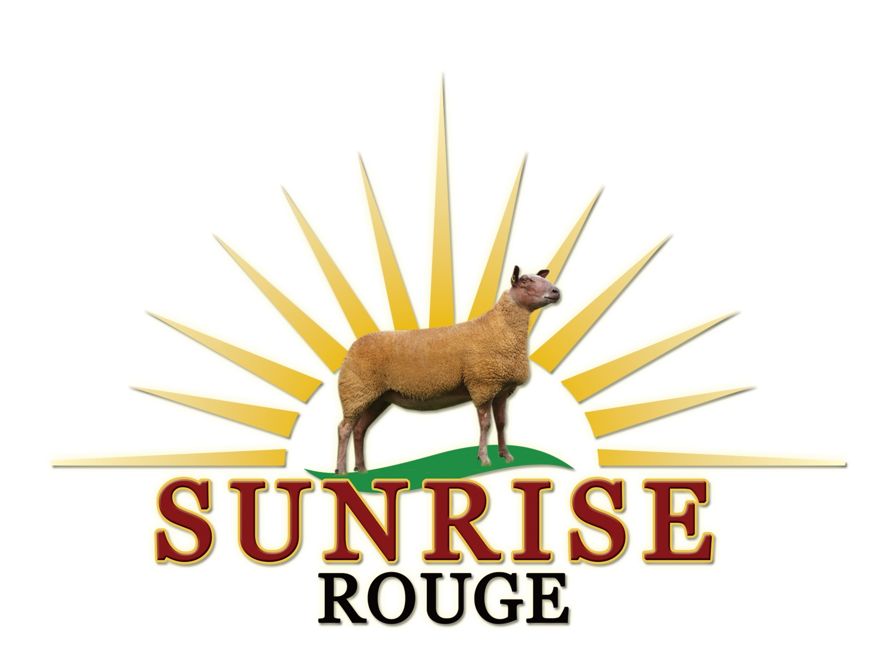 products-sunrise_rouge_logo_final