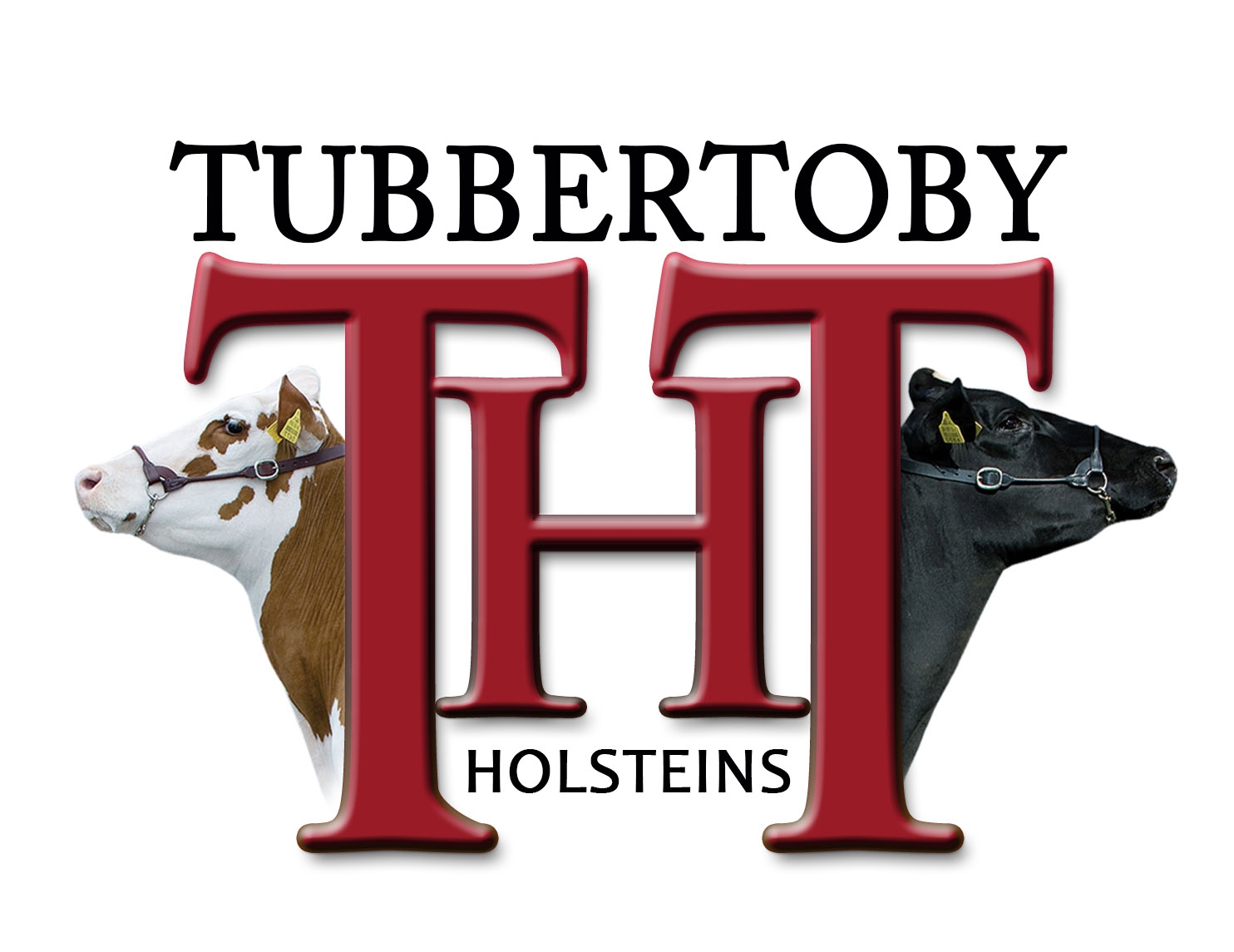 products-tubbertoby_holsteins_logo