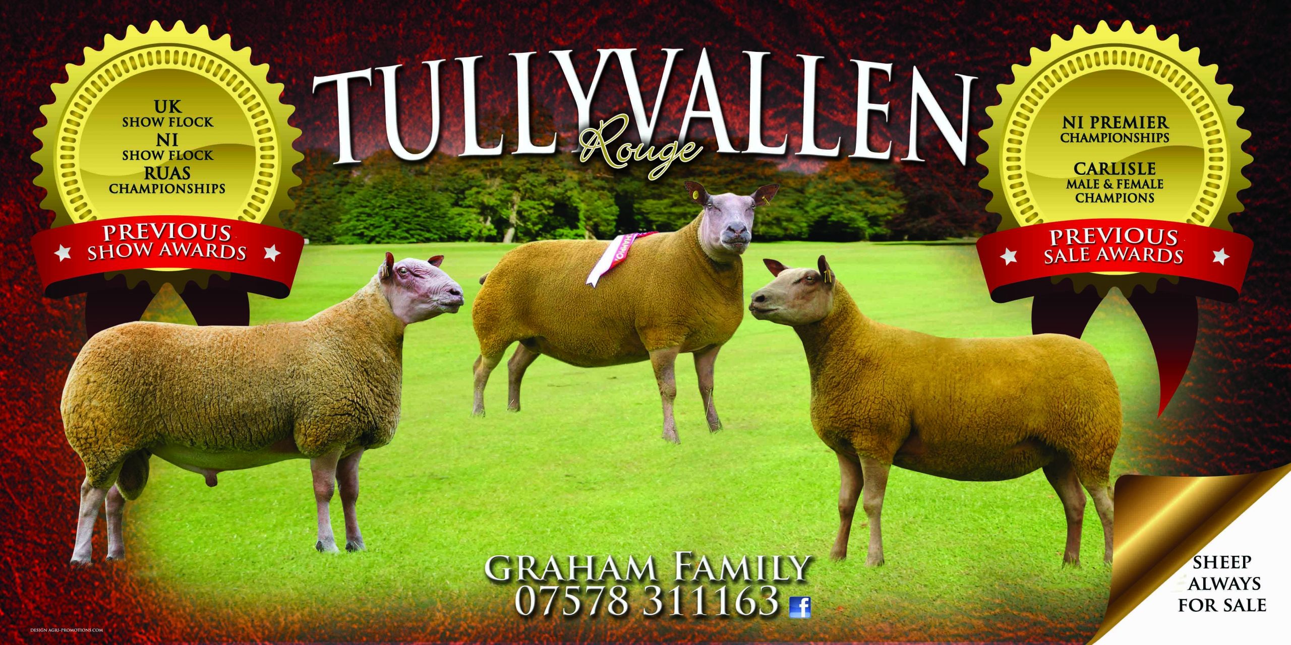 products-tullyvallen_banner_5x2_lr