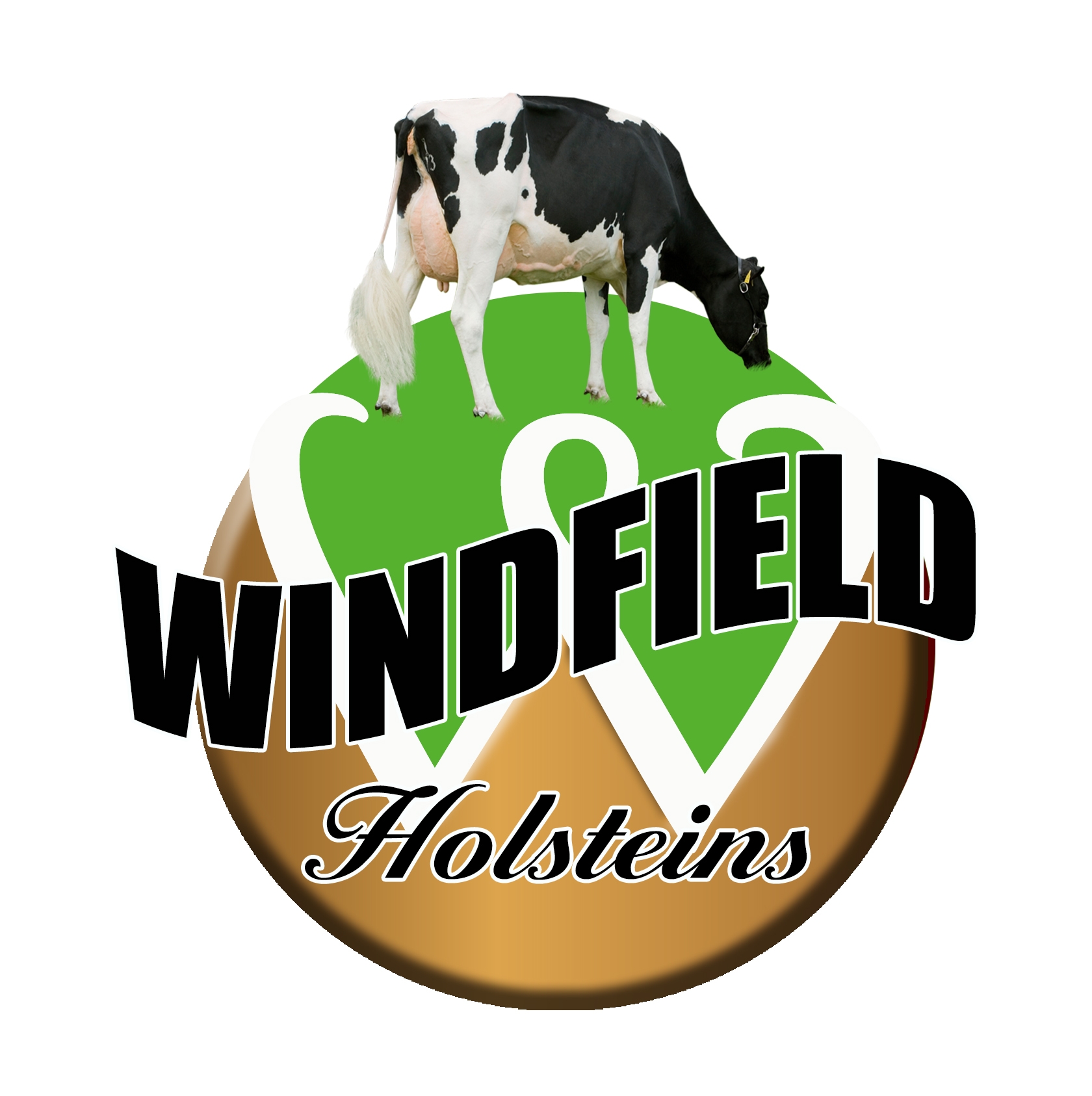 products-windfield_holsteins_logo_final